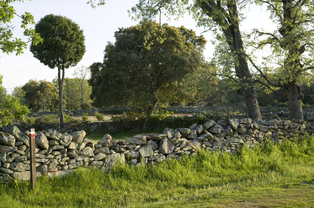 Fornillos de Fermoselle La Casa De Los Arribes المظهر الخارجي الصورة