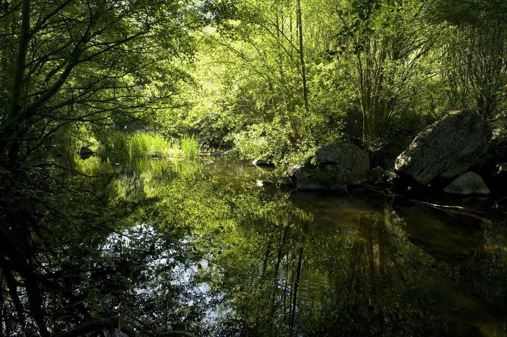 Fornillos de Fermoselle La Casa De Los Arribes المظهر الخارجي الصورة
